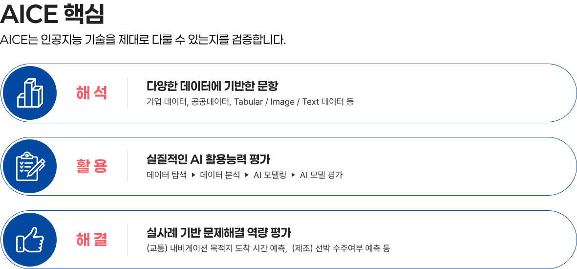 AICE 핵심 — 해석·활용·해결